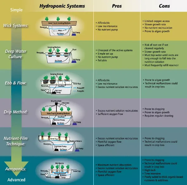 Hydrolush hydroponics hydro hydroponics basics 03