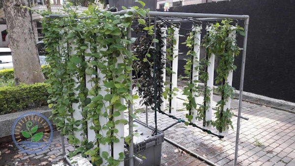 hydrolush hydroponics systems garden 03