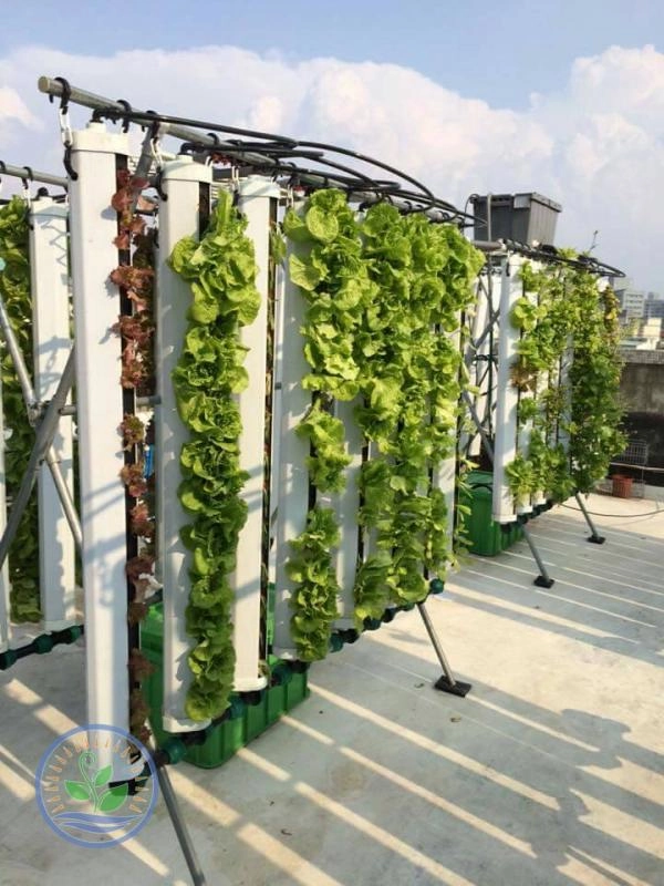 hydrolush hydroponics systems garden 02